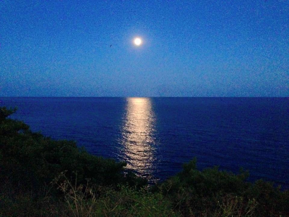 Bed and Breakfast Ventnor Bay House Екстер'єр фото